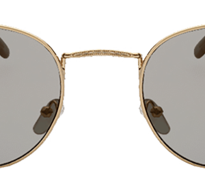 Sungleasses