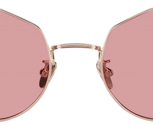 Sungleasses